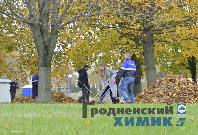 4566768798090 (3).jpg